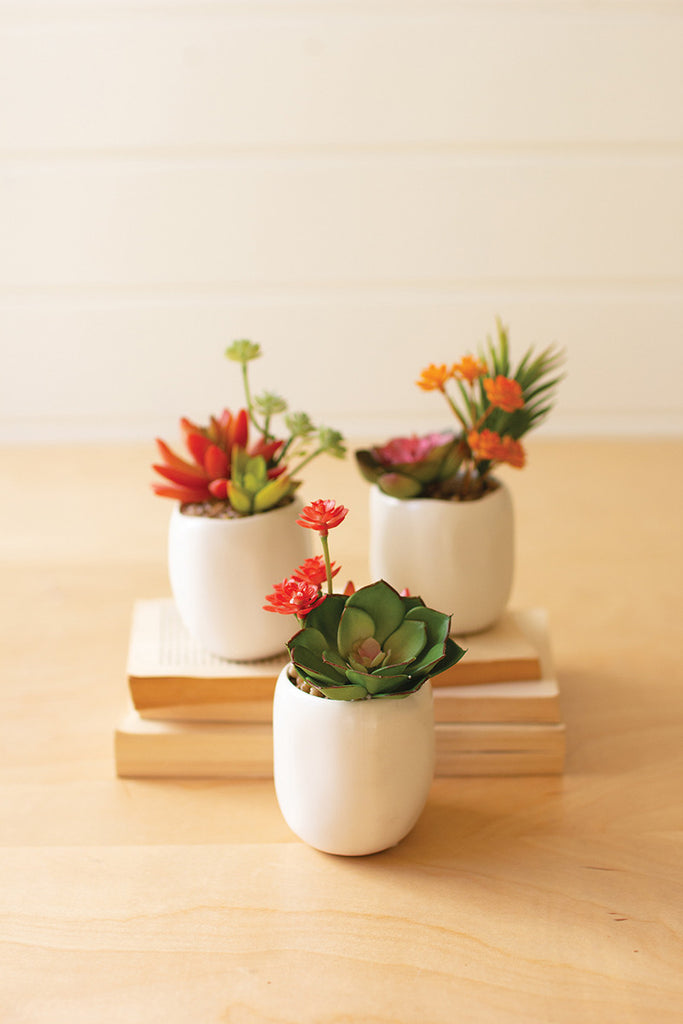 Set Of 3 Artificial Succulent Plants In A White Pot - Hearts Attic 