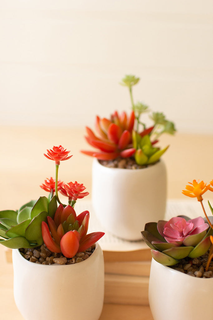 Set Of 3 Artificial Succulent Plants In A White Pot - Hearts Attic 