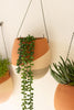 Set Of Three Clay Wall Pocket Planters With Wire Hangers - Hearts Attic 