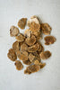 Bag Of 192 Dried Sponge Mushrooms - Hearts Attic 
