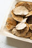 Bag Of 192 Dried Sponge Mushrooms - Hearts Attic 