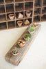 Recycled Wooden Base With Five Clay Succulent Holders - Hearts Attic 