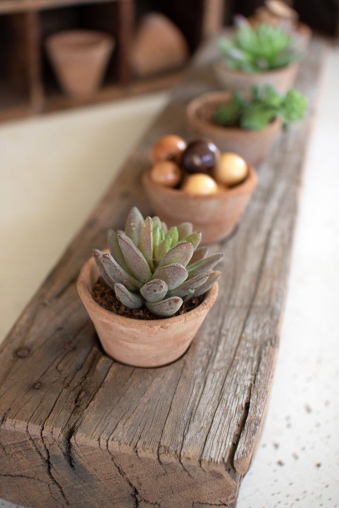 Recycled Wooden Base With Five Clay Succulent Holders - Hearts Attic 