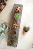 Recycled Wooden Base With Five Clay Succulent Holders - Hearts Attic 