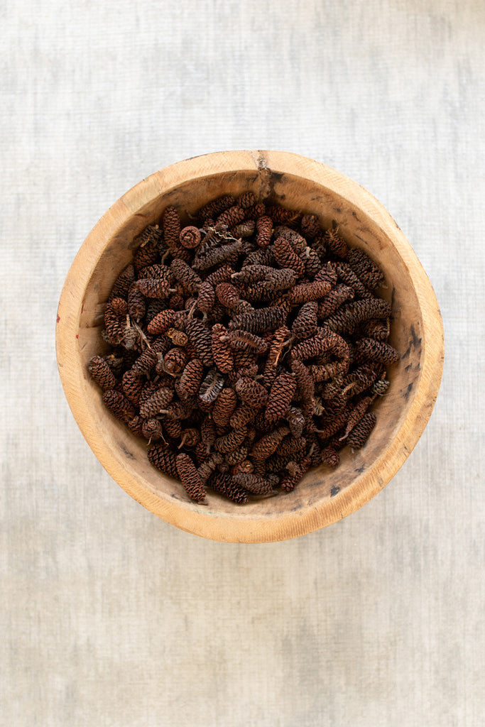 12 Bags Of Birch Pine Cones  -  Natural - Hearts Attic 