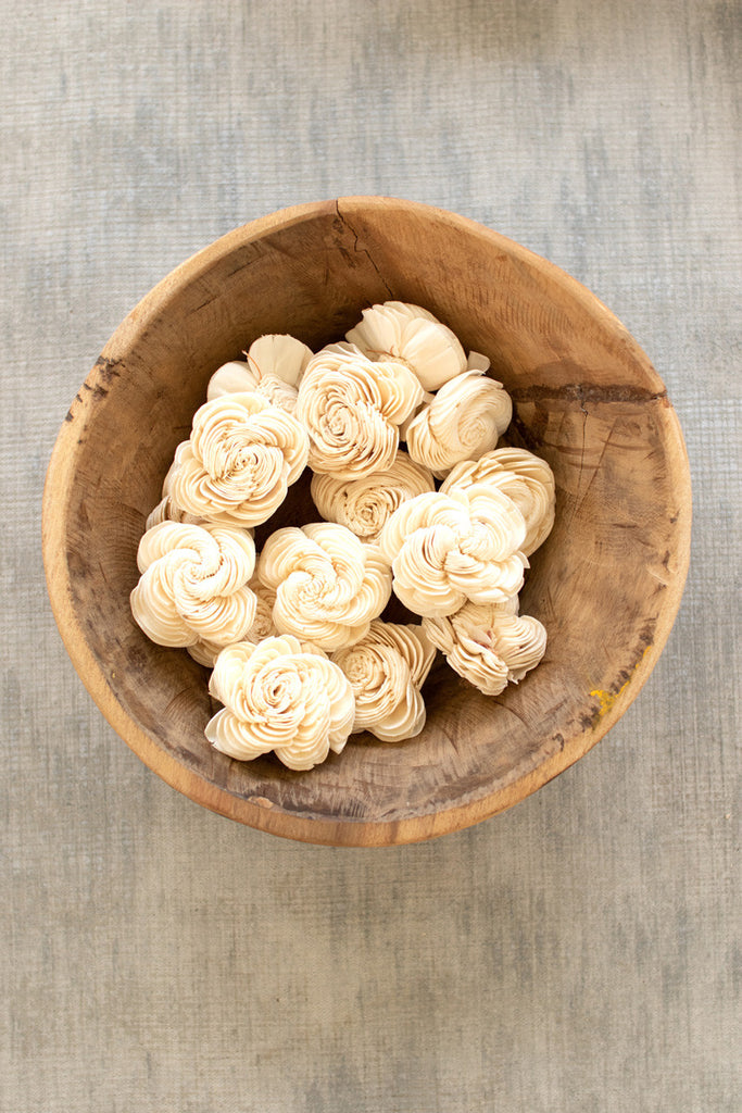 Bag Of 192 Dried Shell Flowers - Hearts Attic 
