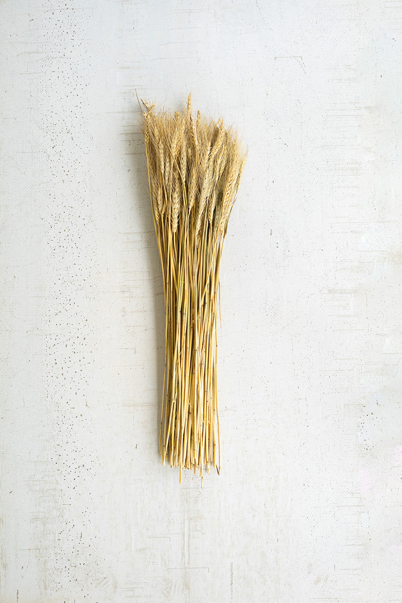 7 Oz. Bundle Of Natural Wheat Stems - Set of 24 - Hearts Attic 