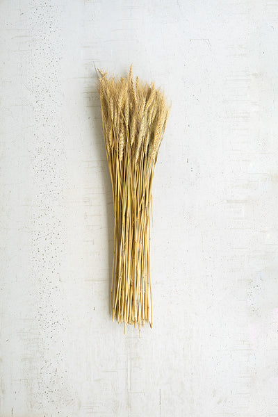 7 Oz. Bundle Of Natural Wheat Stems - Set of 24 - Hearts Attic 