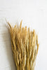 7 Oz. Bundle Of Natural Wheat Stems - Set of 24 - Hearts Attic 