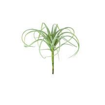 4.5" Single Stem Grass - Hearts Attic 
